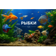 РЫБКИ