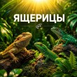 ЯЩЕРИЦЫ
