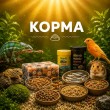 КОРМА